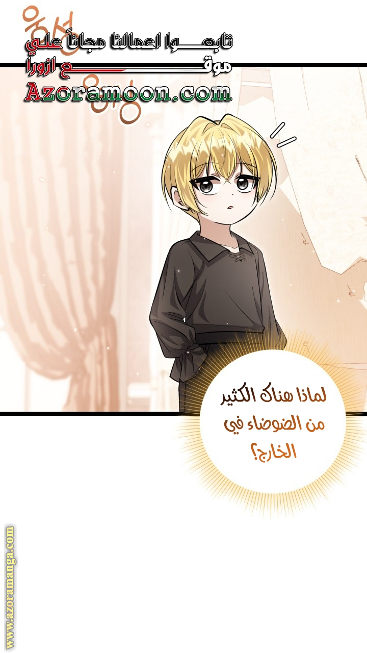 الصفحة 31