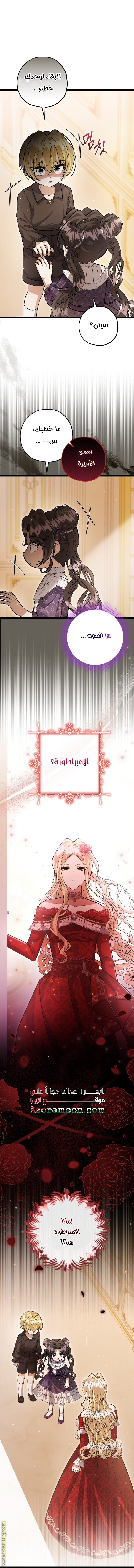 الصفحة 21