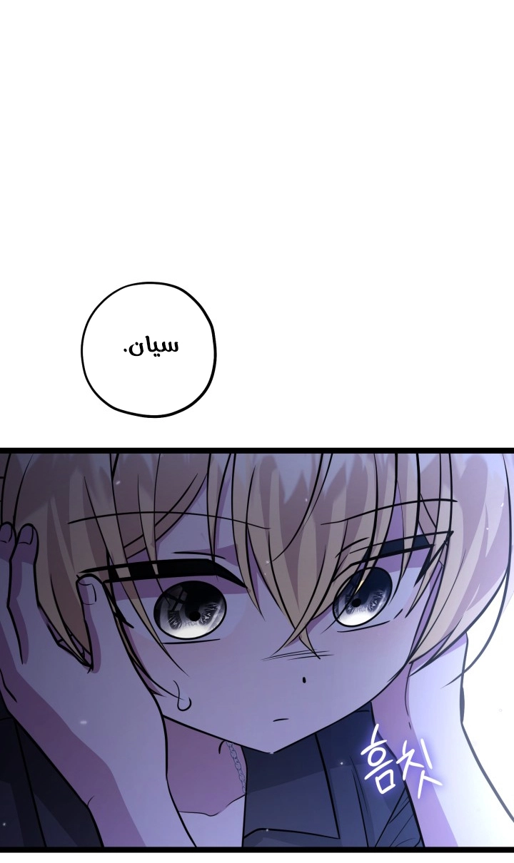 الصفحة 21