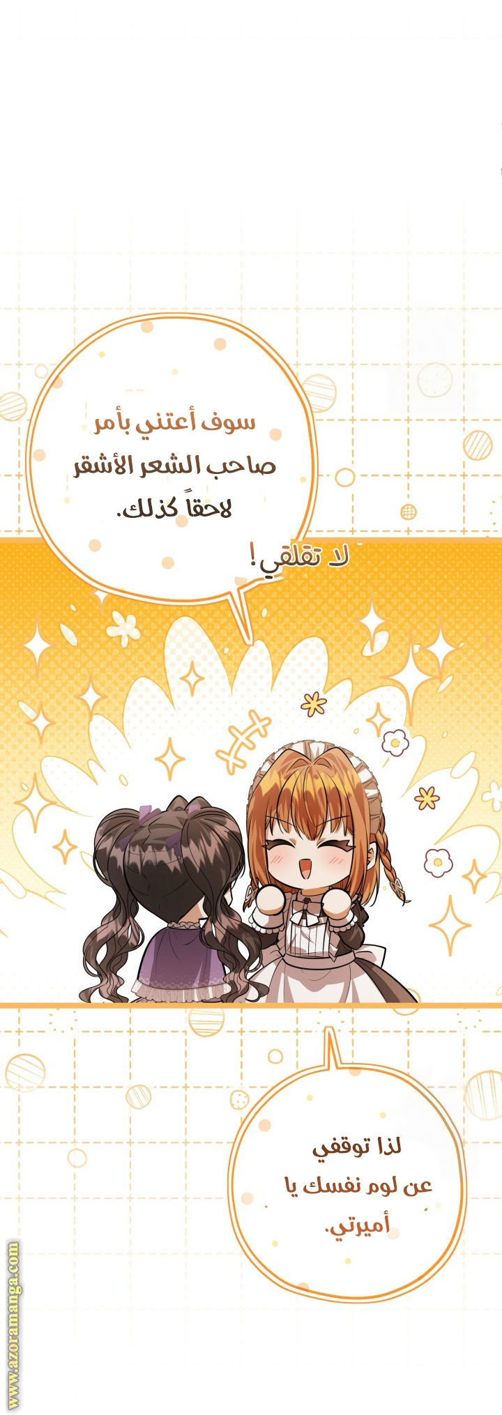 الصفحة 25