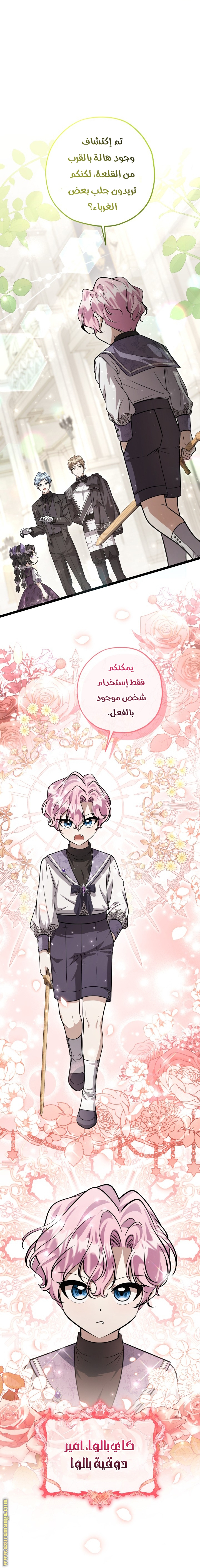 الصفحة 15
