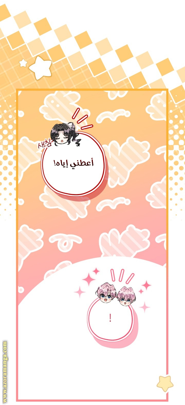 الصفحة 17