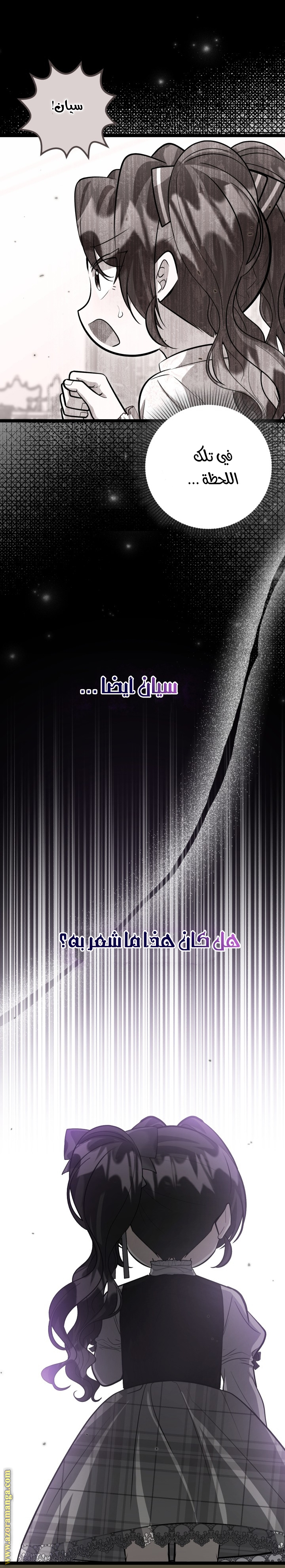 الصفحة 25
