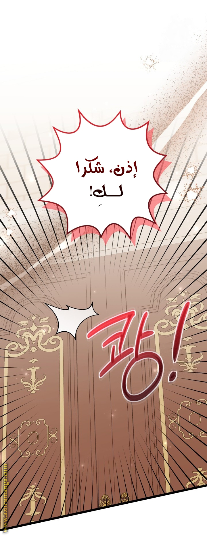 الصفحة 17