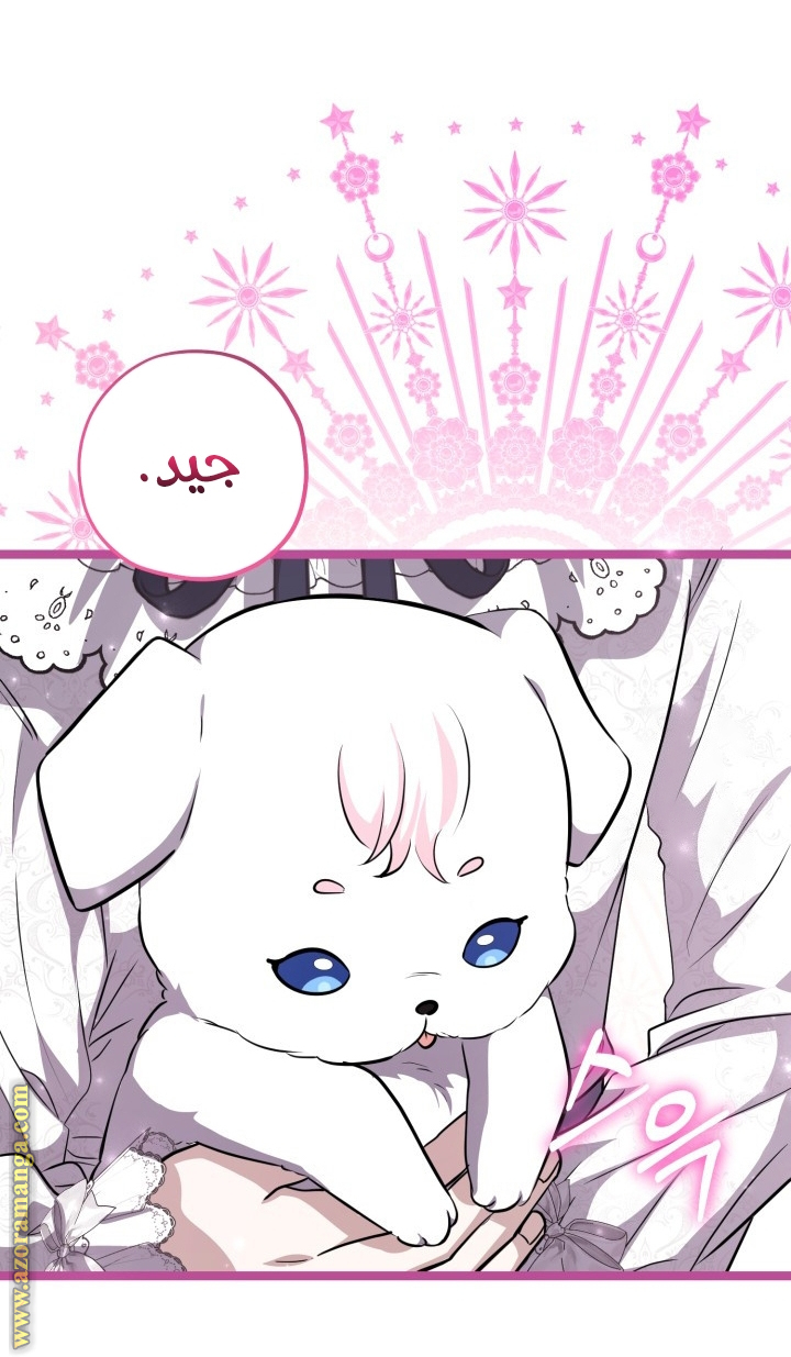 الصفحة 23