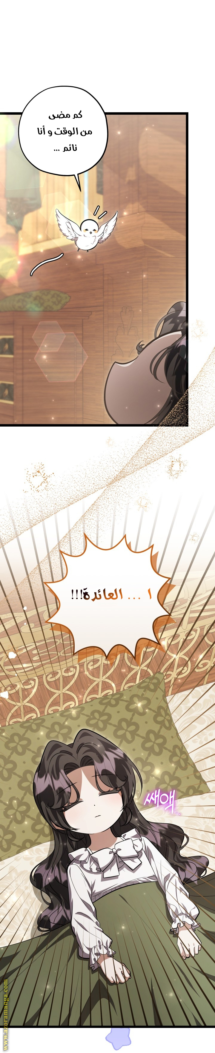 الصفحة 2