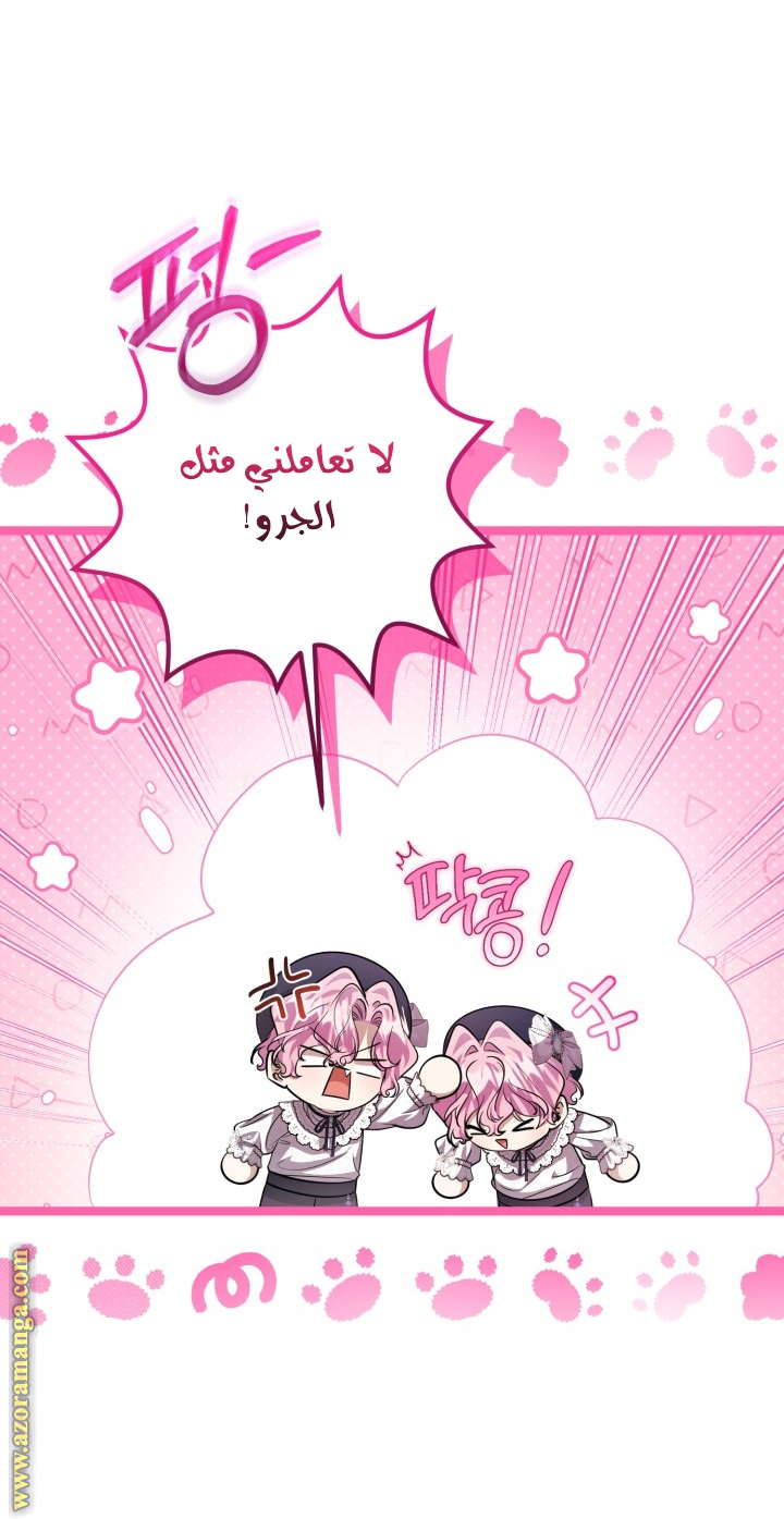 الصفحة 23