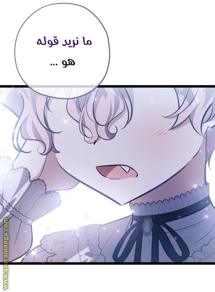 الصفحة 25