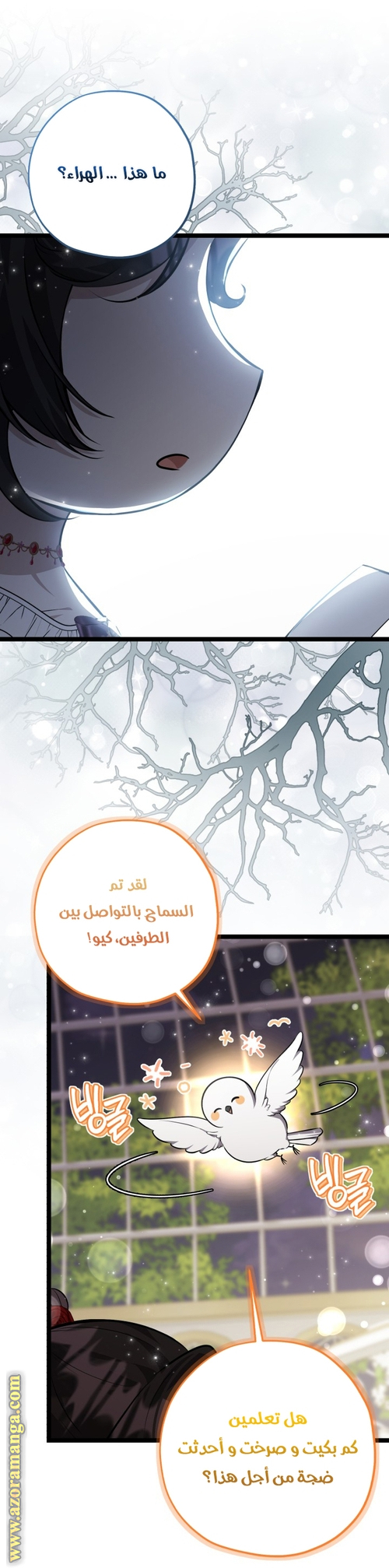 الصفحة 25