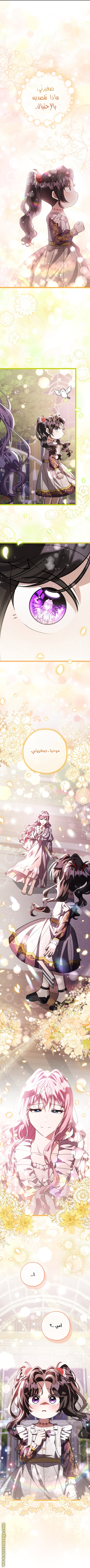 الصفحة 27