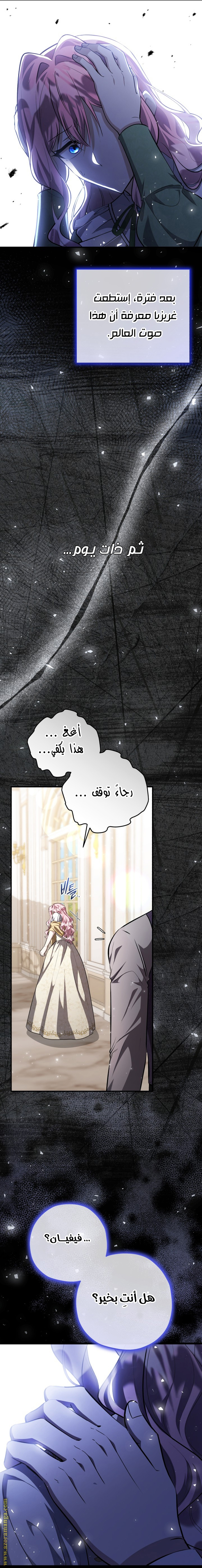 الصفحة 13