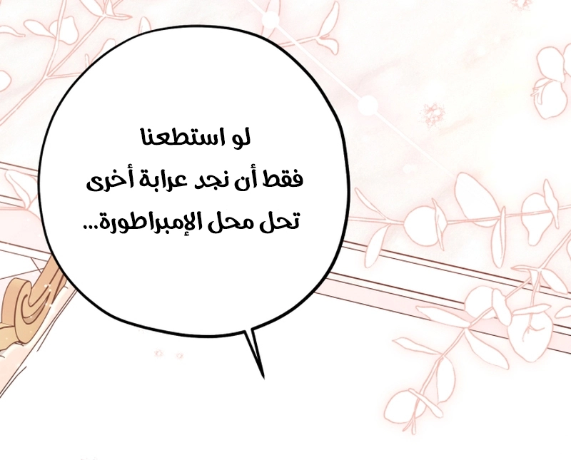 الصفحة 25