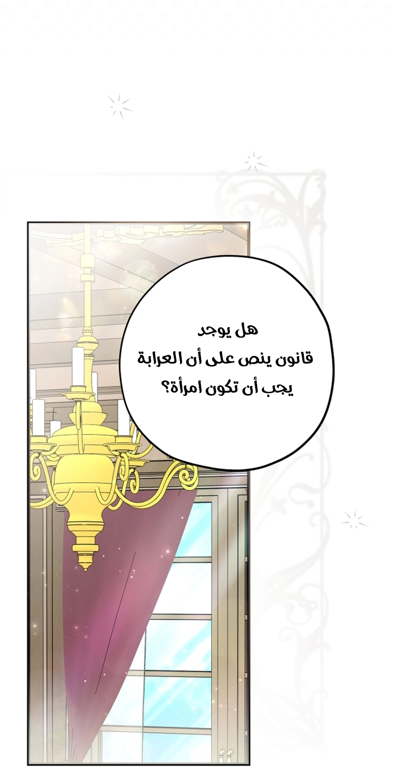 الصفحة 31