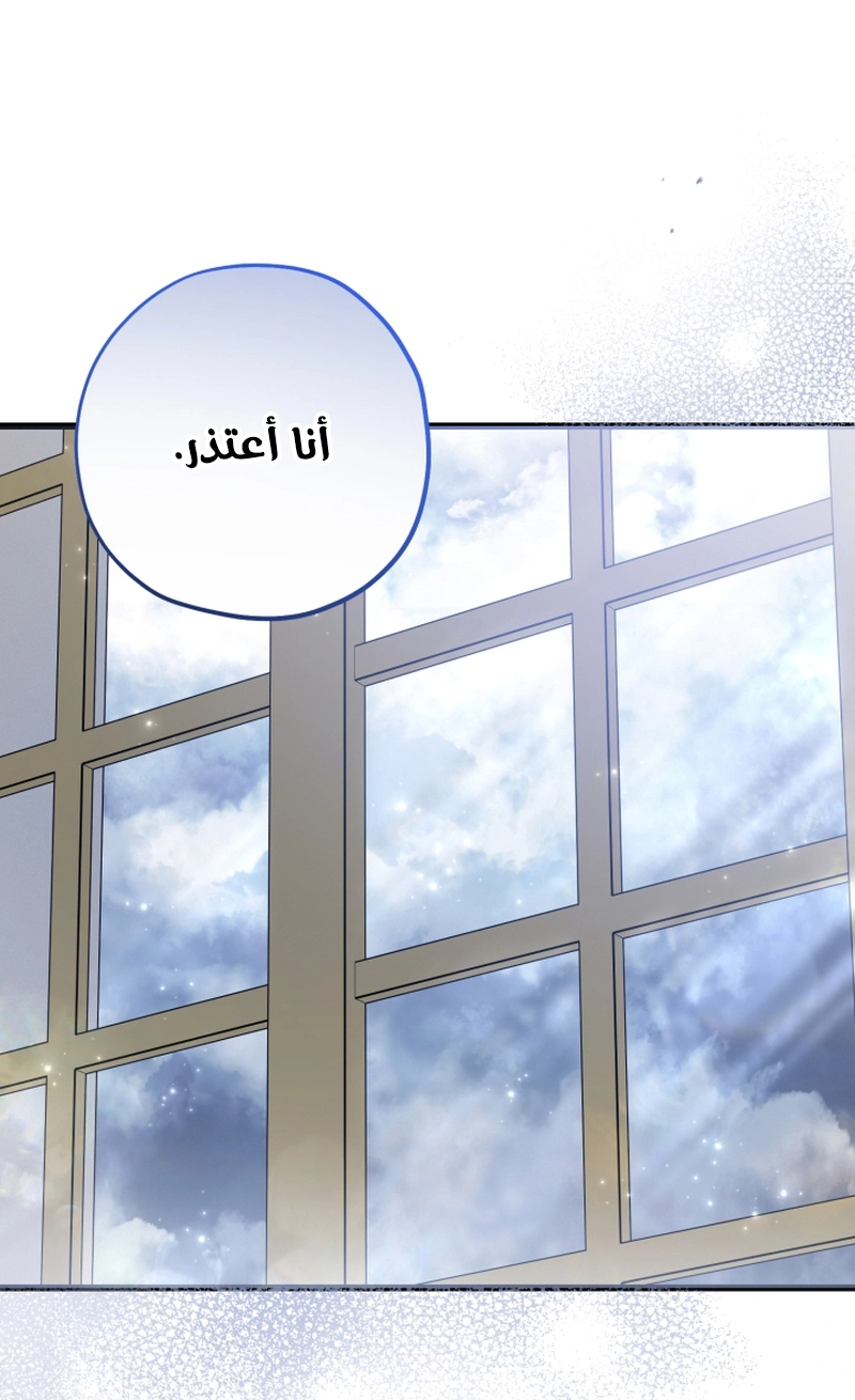 الصفحة 42