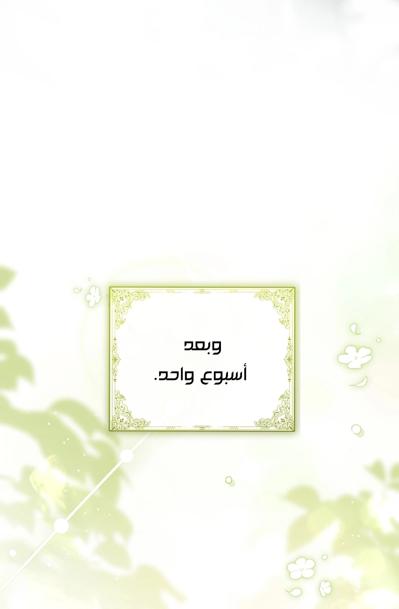 الصفحة 49
