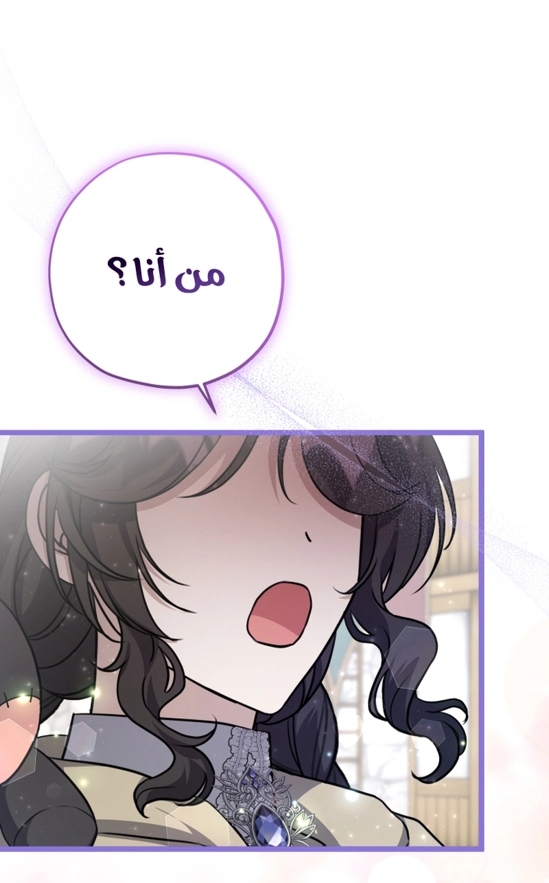 الصفحة 46