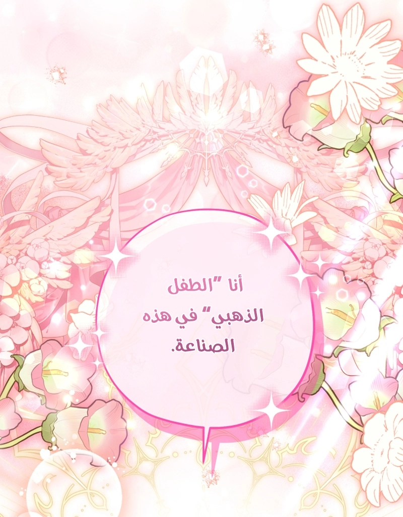 الصفحة 47