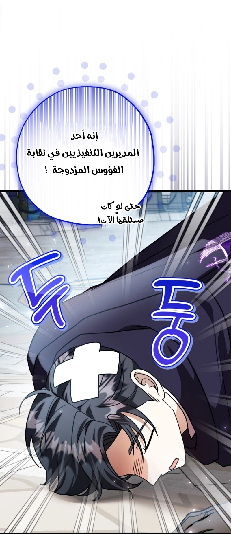 الصفحة 16