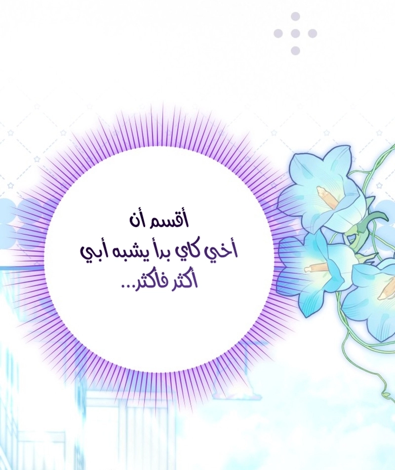 الصفحة 25