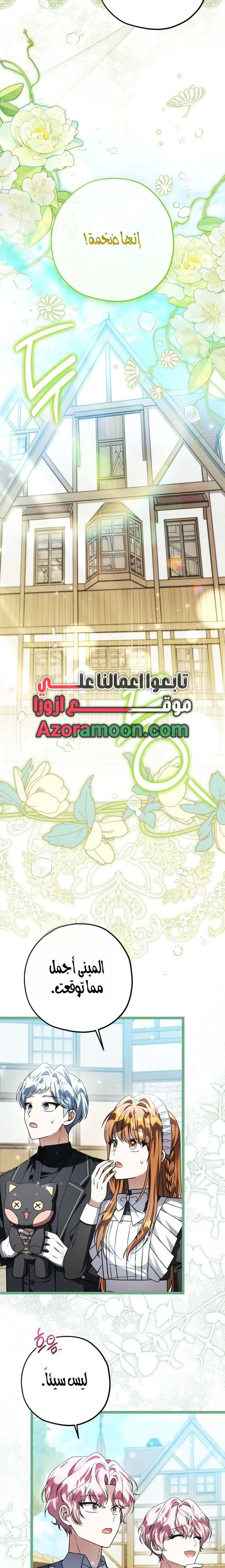الصفحة 17
