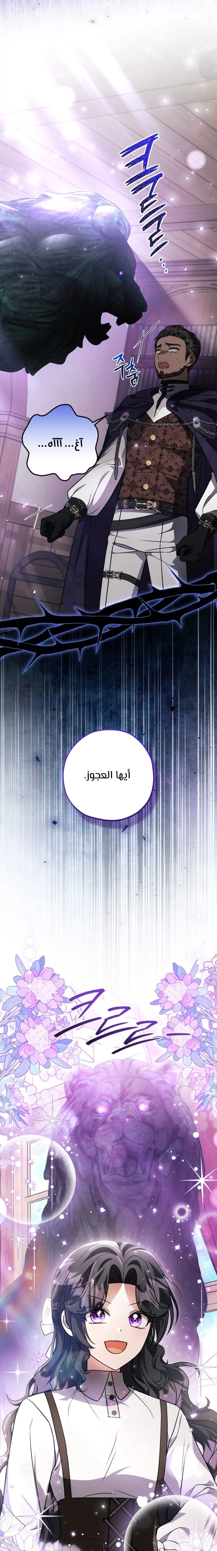 الصفحة 21