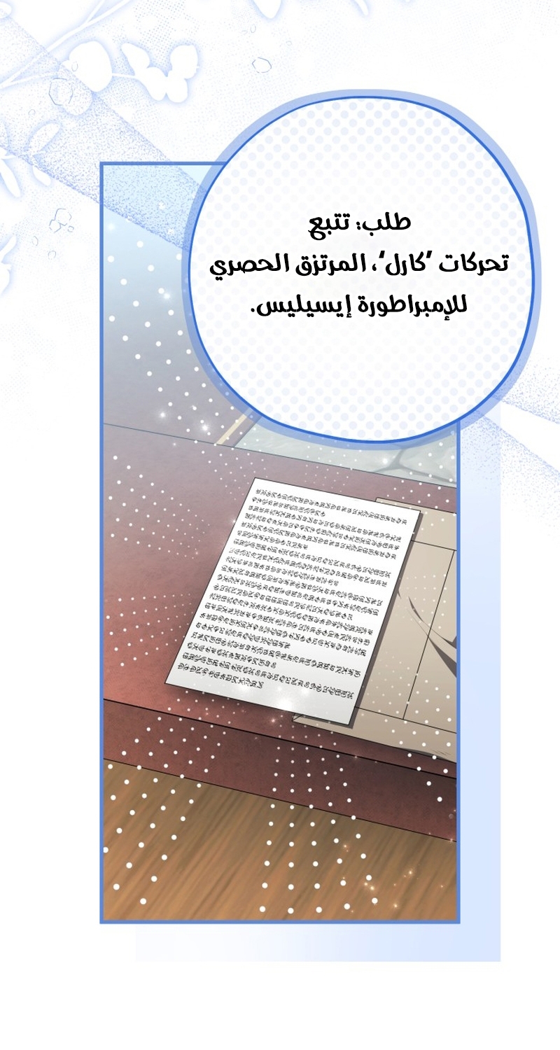 الصفحة 27