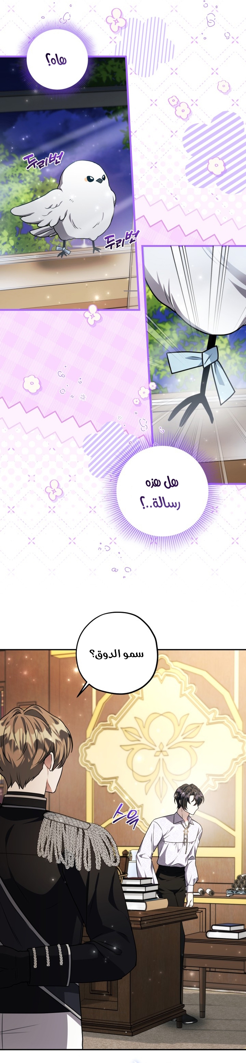 الصفحة 13