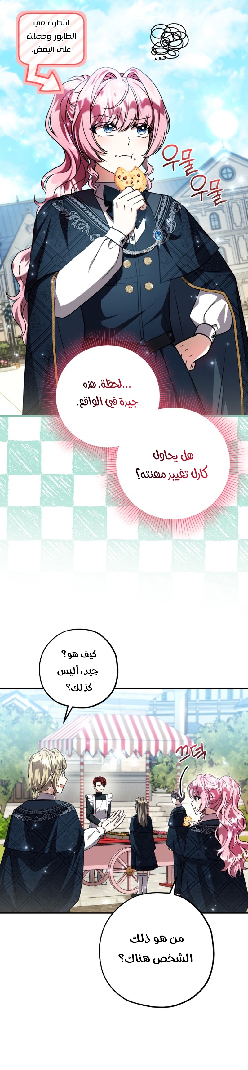 الصفحة 19
