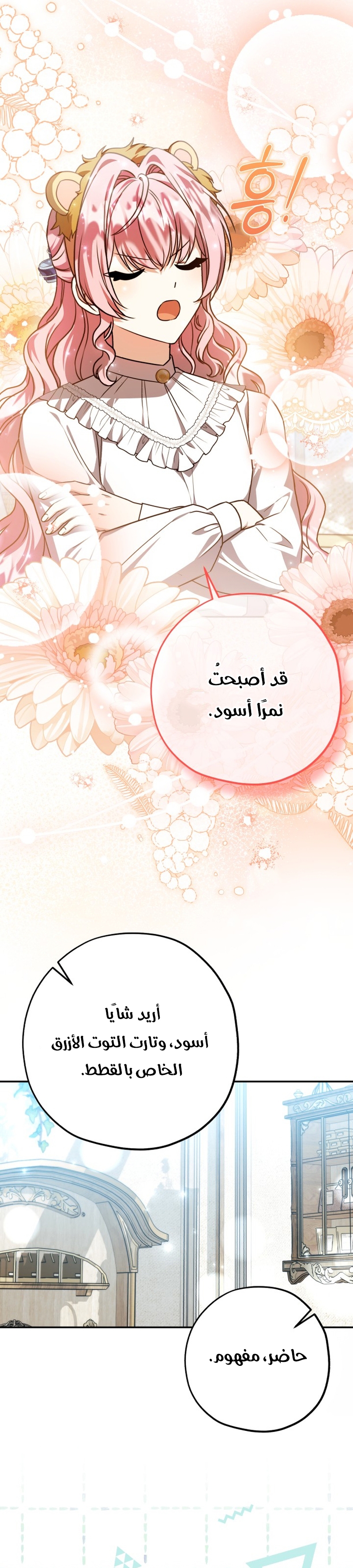 الصفحة 11