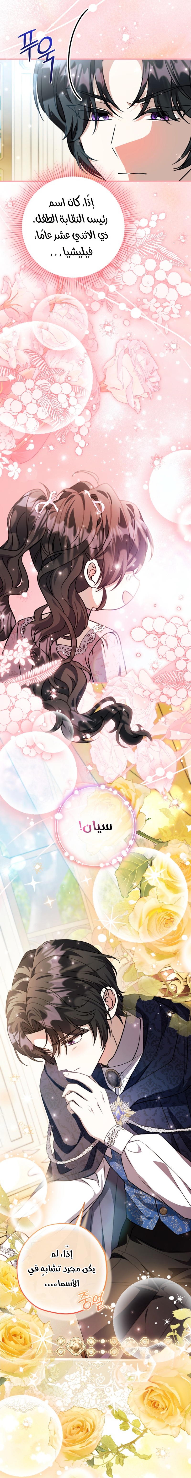 الصفحة 24
