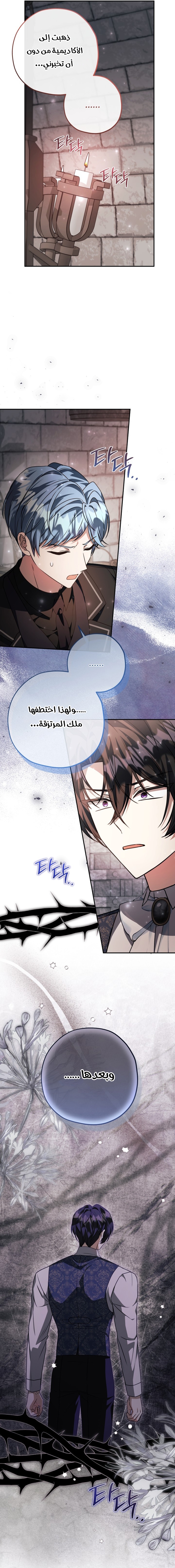 الصفحة 24