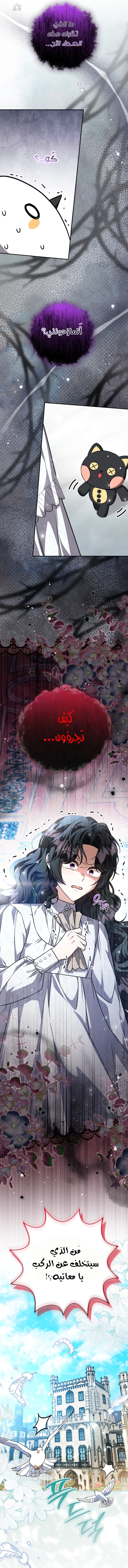 الصفحة 23