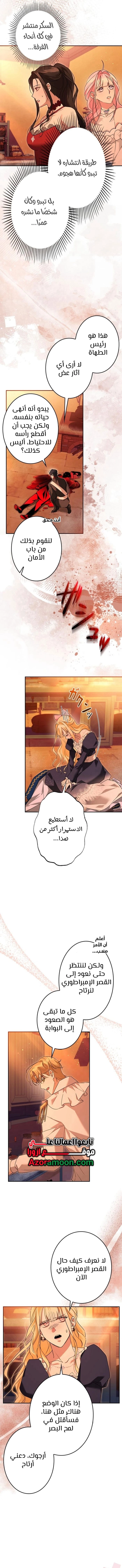 الصفحة 11