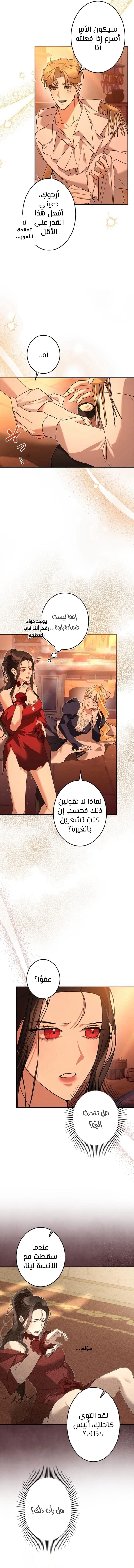 الصفحة 14