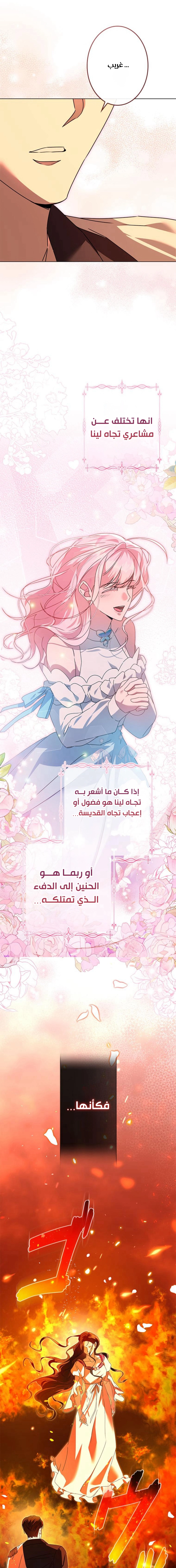 الصفحة 20