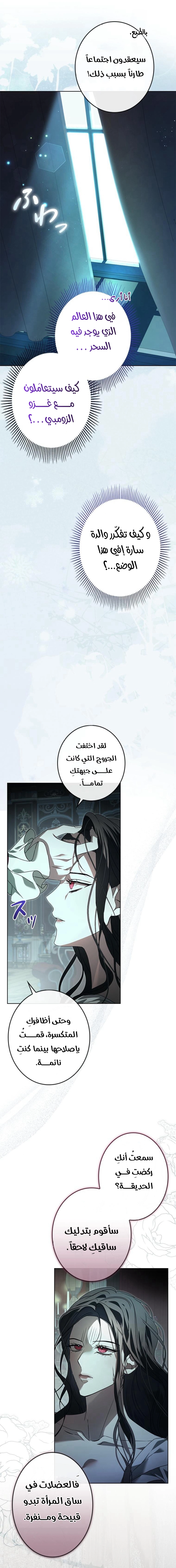 الصفحة 13