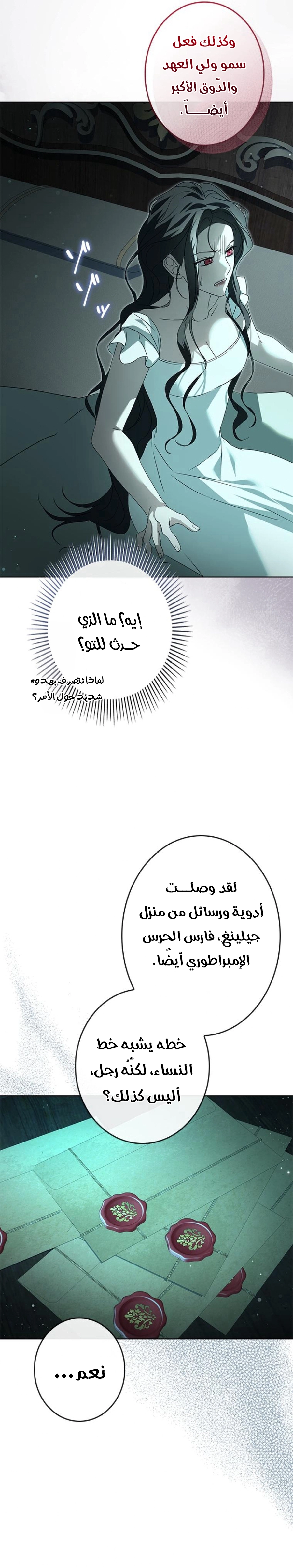 الصفحة 17