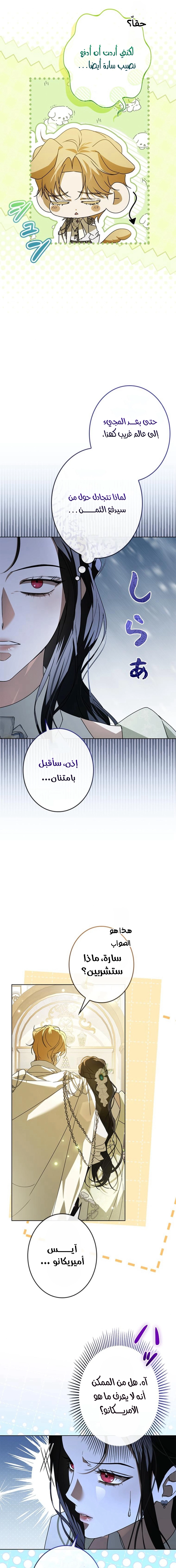 الصفحة 13
