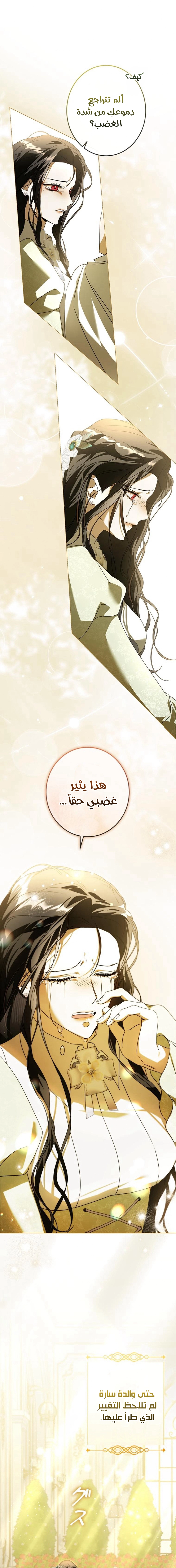 الصفحة 19