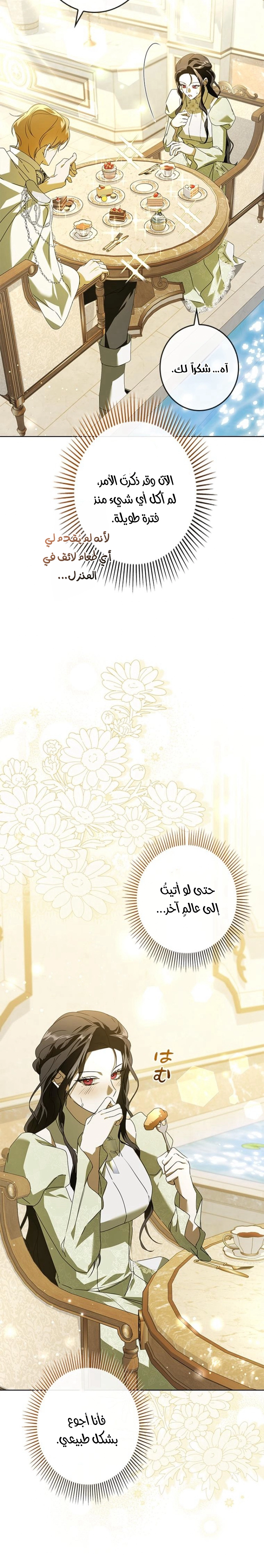 الصفحة 22