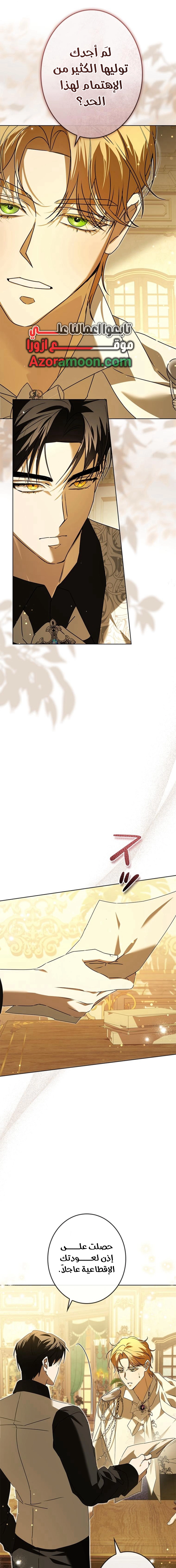 الصفحة 17