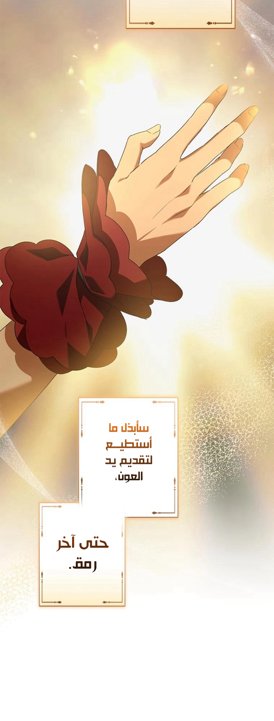 الصفحة 29
