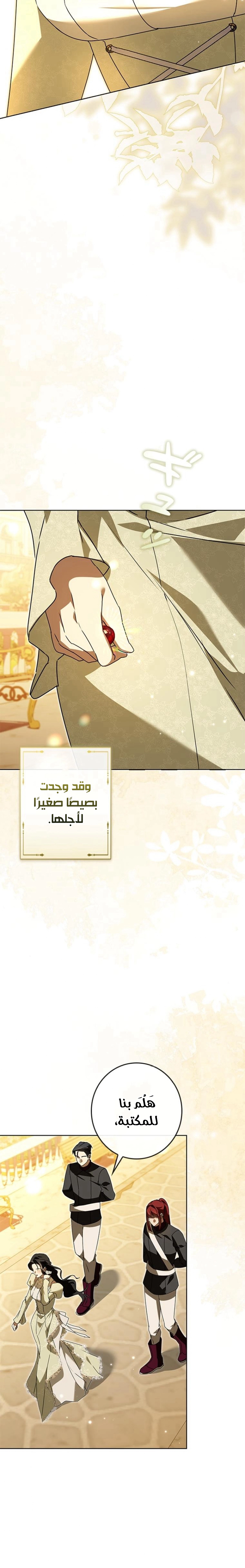 الصفحة 31