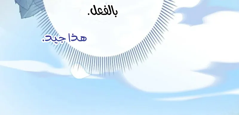 الصفحة 24