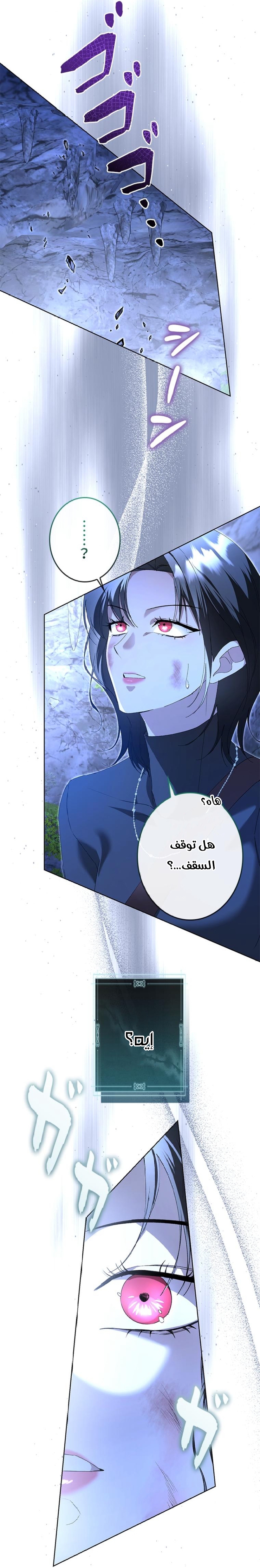 الصفحة 16