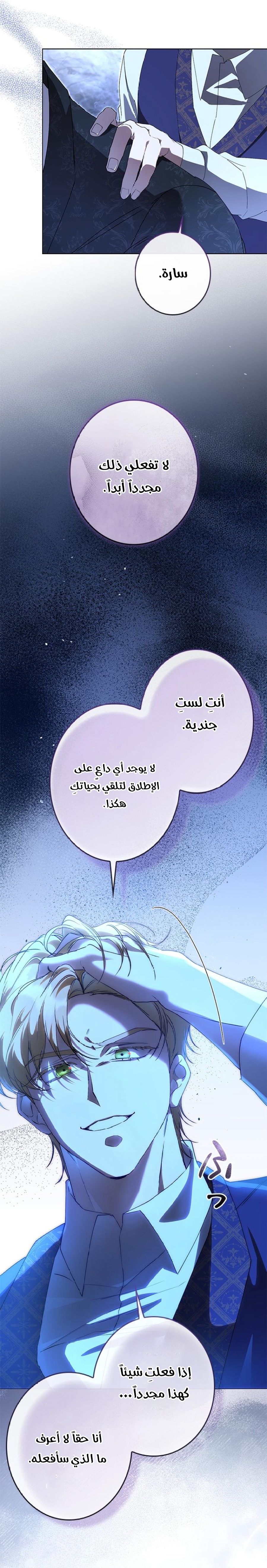 الصفحة 25