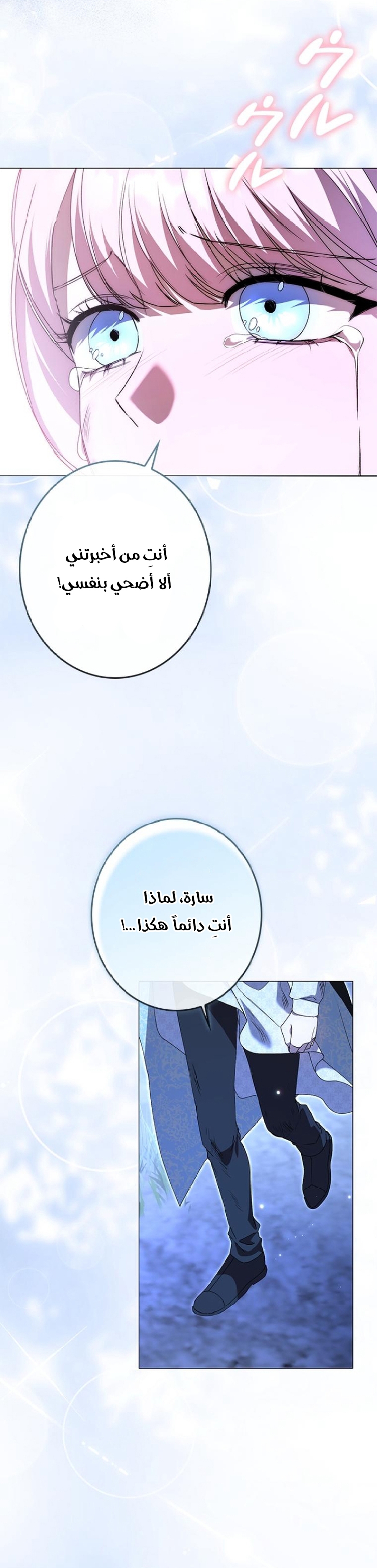 الصفحة 26