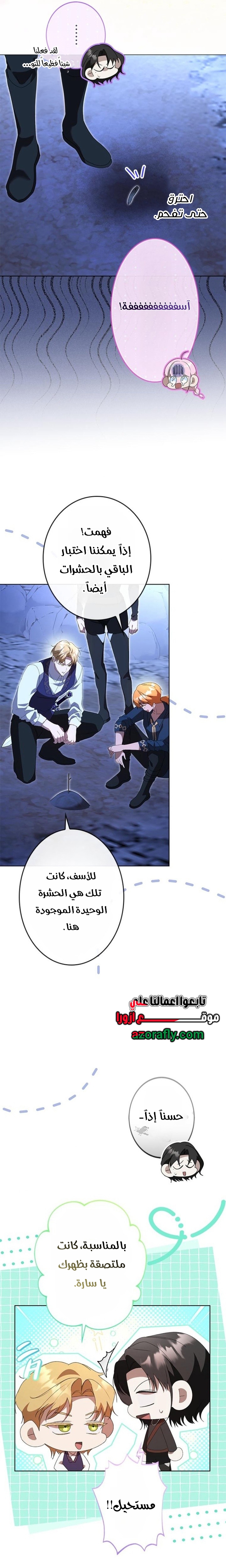 الصفحة 25