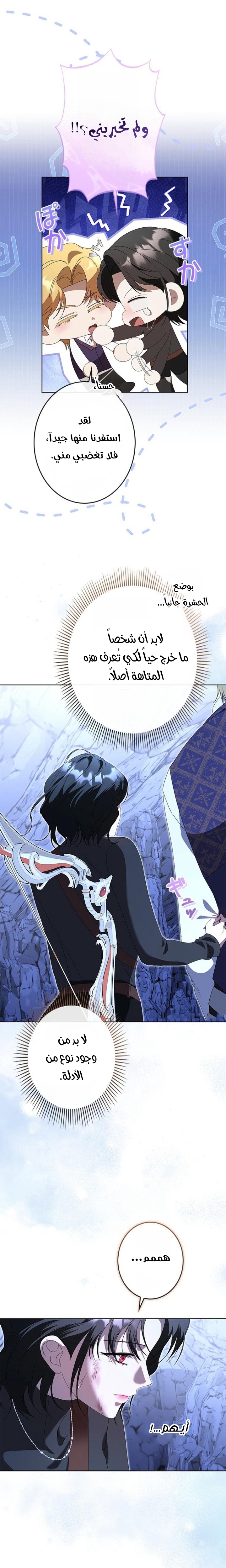 الصفحة 26