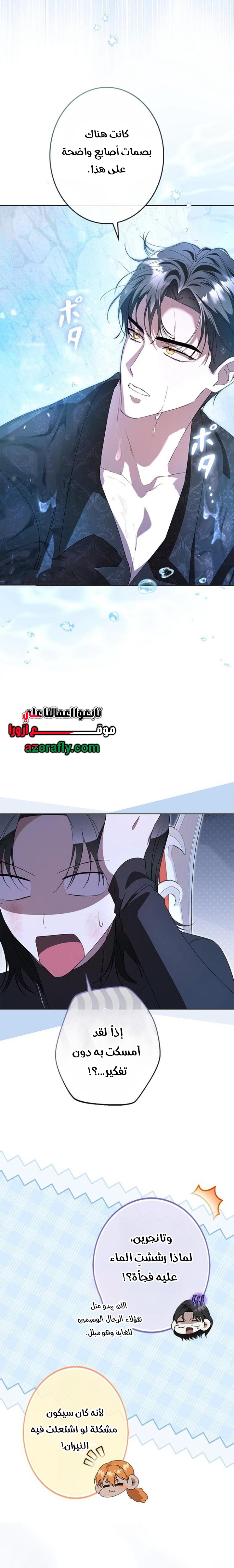 الصفحة 31